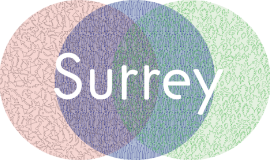 Surrey Story